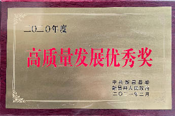 高質量發(fā)展優(yōu)秀獎-2020